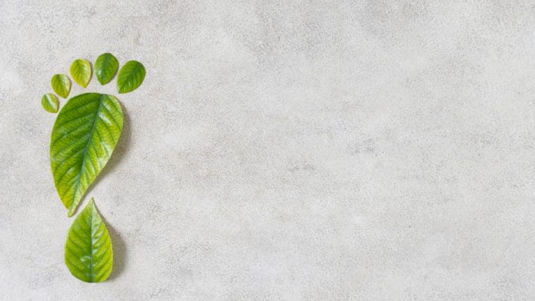 Powietrzna, gruntowa czy wodna – który typ pompy ciepła wybrać?